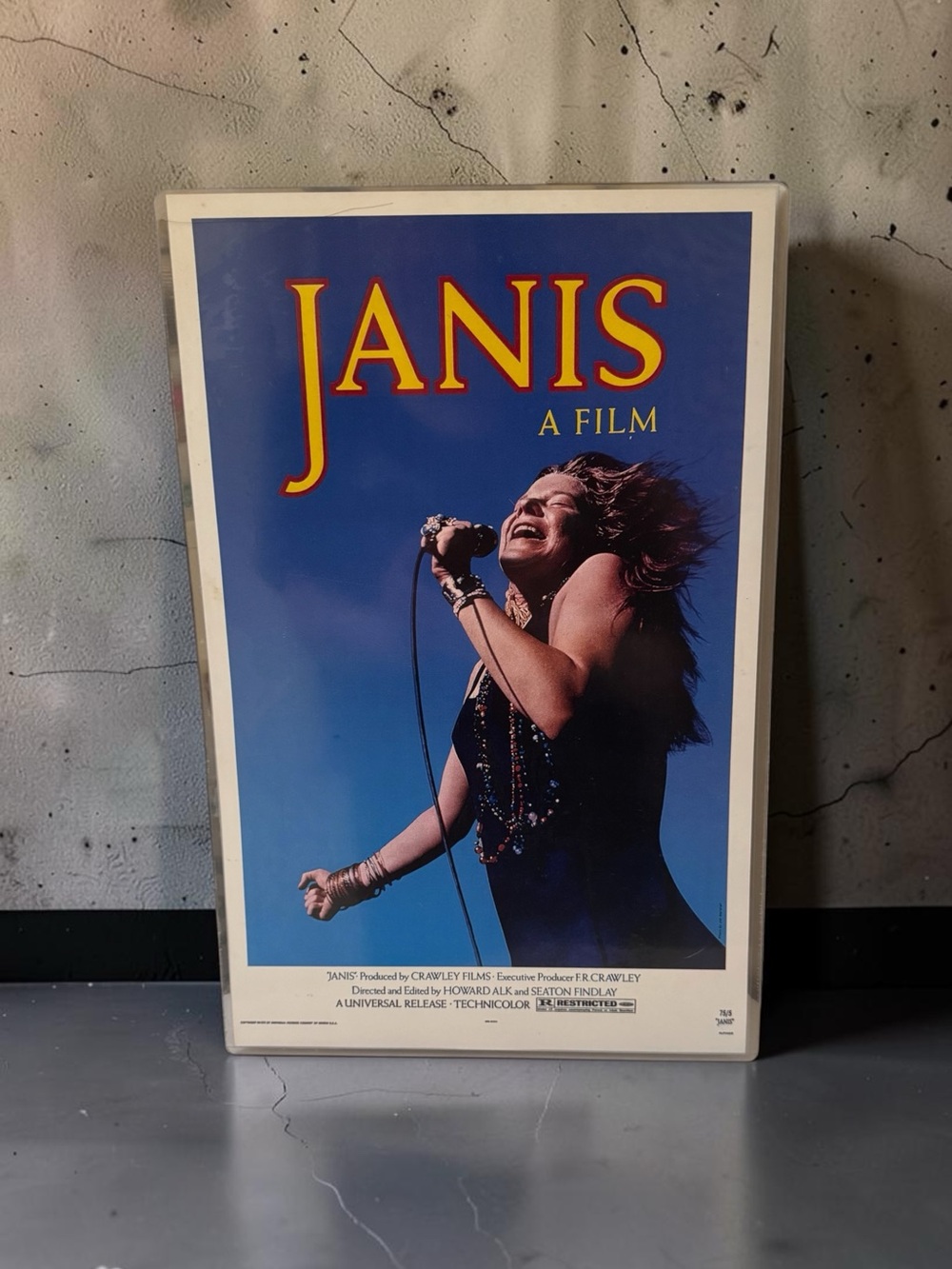 Vintage Janis Poster Wall Art